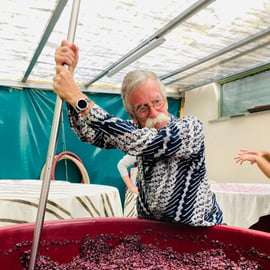 Lucca - Natuurlijke wijnproeverij bij Tenuta Mareli