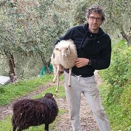 Dwarf Sheep Tour in the Pisan Mountains with Olive Oil