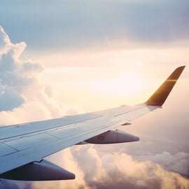 Florence: Private Transfer from Pisa Airport (PSA)