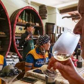 Winery Tour near Pisa with Three-Wine Tasting in Peccioli