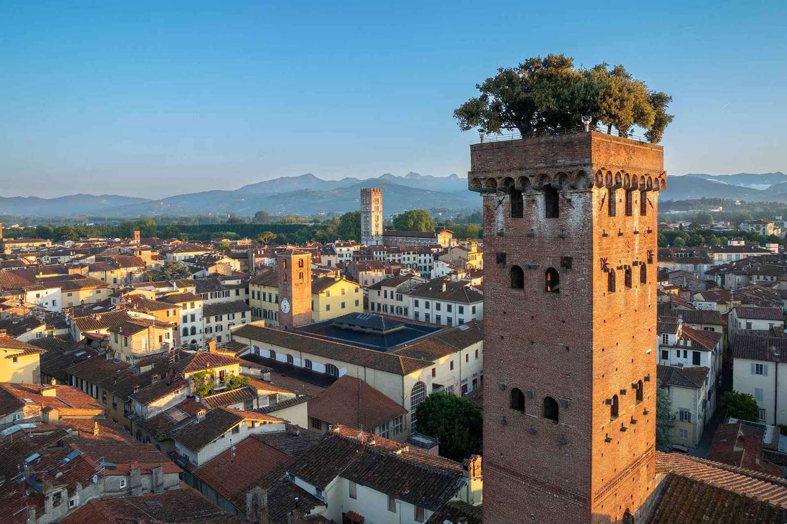 Lucca: Guinigi Tower Admission Ticket with Panoramic View