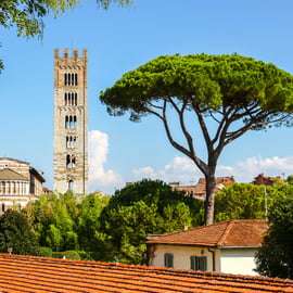 Paseo con guía local por Lucca en 60 minutos