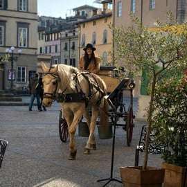 Passeio de carruagem em Lucca pelo centro e as muralhas
