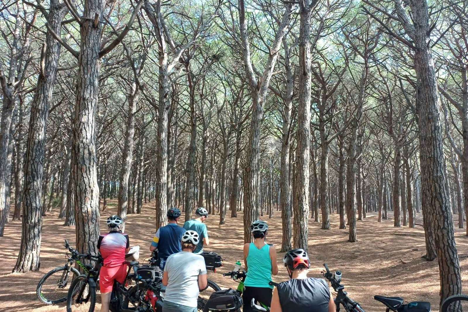 Livorno: Passeio Panorâmico de Bicicleta Elétrica a Pisa pelo Parque Natural