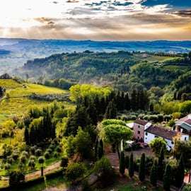 Peccioli: Wine tasting experience