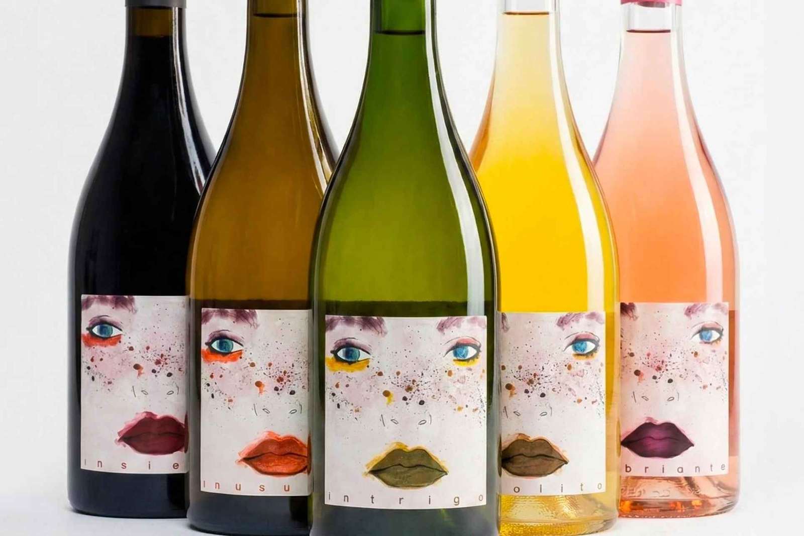 San Miniato: experiência de degustação de vinho e azeite orgânicos