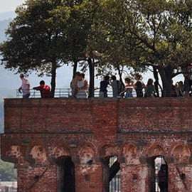 Lucca: Guinigi Tower Admission Ticket with Panoramic View
