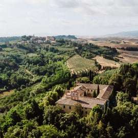 Weinprobe bei Pisa mit Abtei, Weingut und Mittagessen