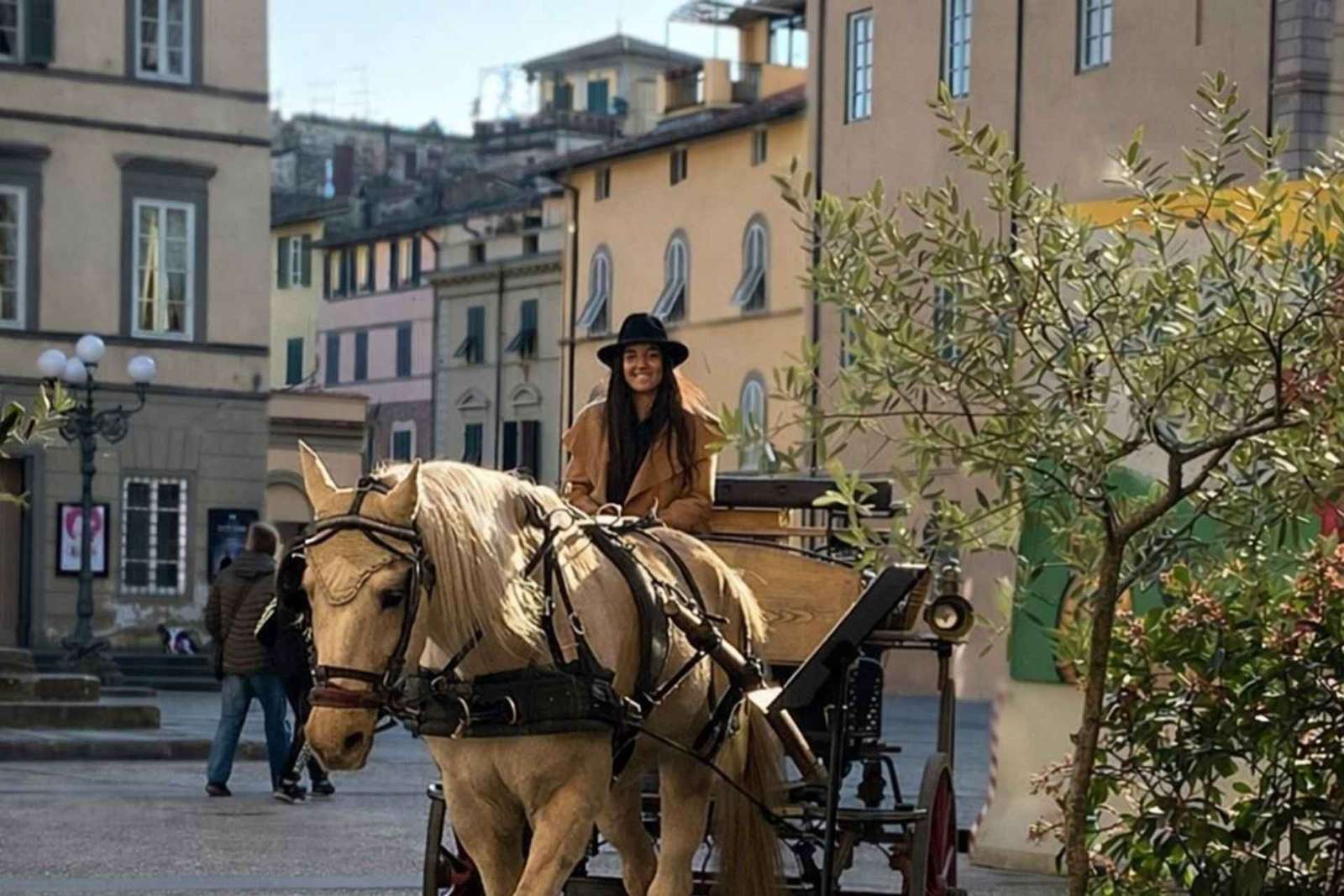 Passeio de carruagem em Lucca pelo centro e as muralhas