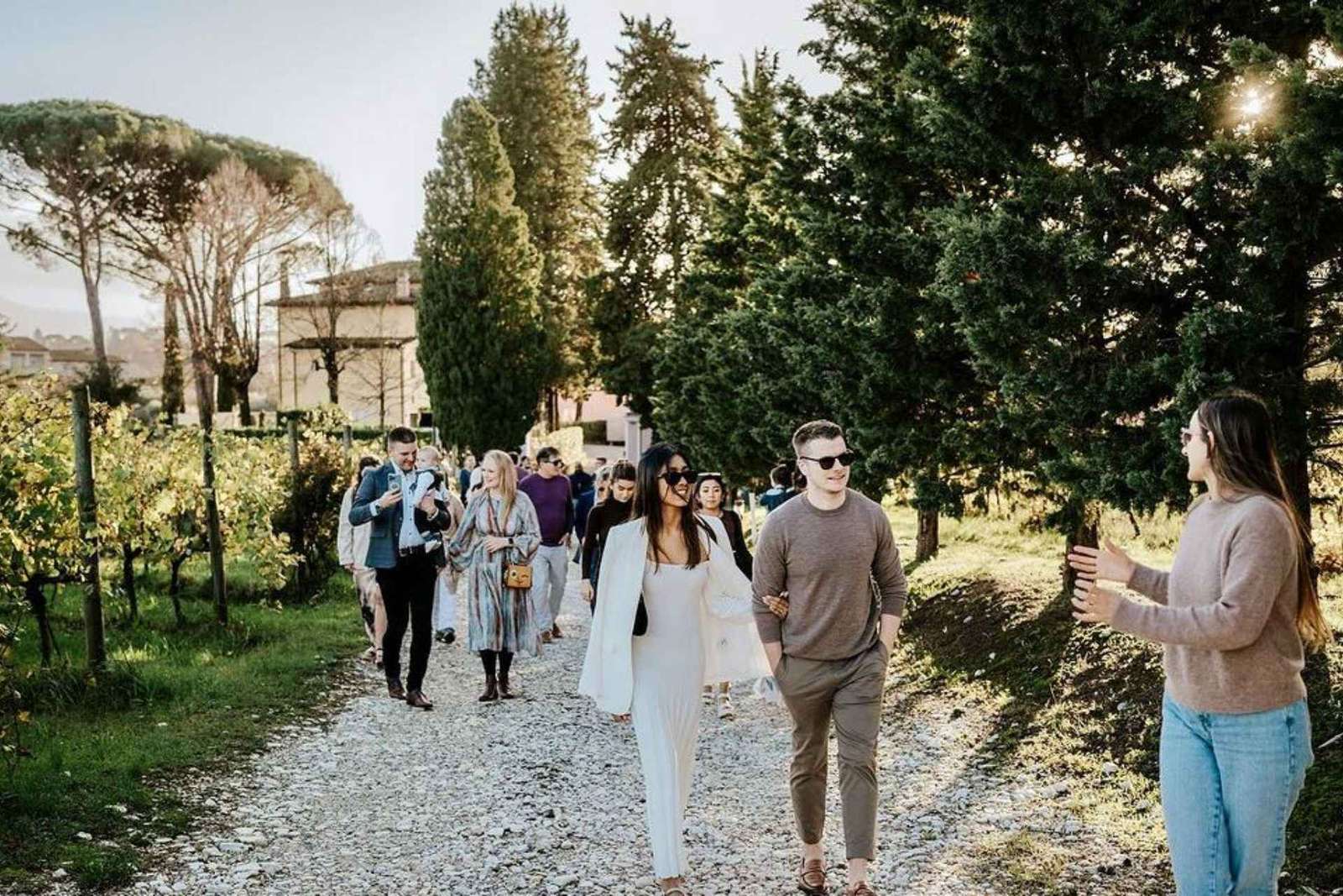 Visite de vignoble et dégustation de vin à Lucques, bio