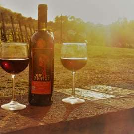 Lucca: Guided E-Bike and Wine Tour