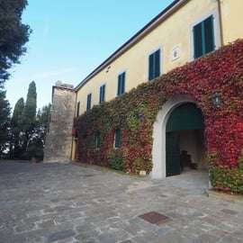Weinprobe bei Pisa mit Abtei, Weingut und Mittagessen