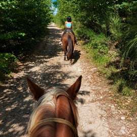 Horseback Riding in the Hills of Pisa with Aperitif