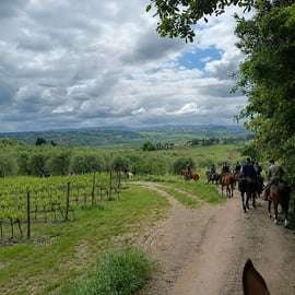 Horseback Riding in the Hills of Pisa with Aperitif