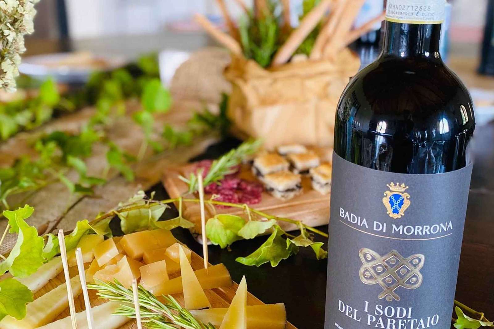 Visite de cave et dégustation de vins toscans à Terricciola