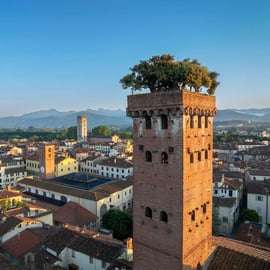 Lucca: Guinigi Tower Admission Ticket with Panoramic View