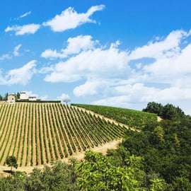 Peccioli Valdera 2 Hour E-Bike Guided Tour + Wine Tasting