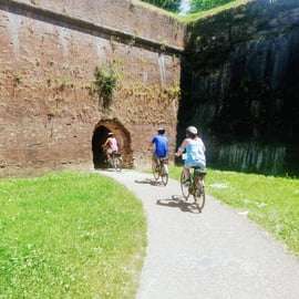 Lucca: Ein-Tages-Miete eines Stadtrades