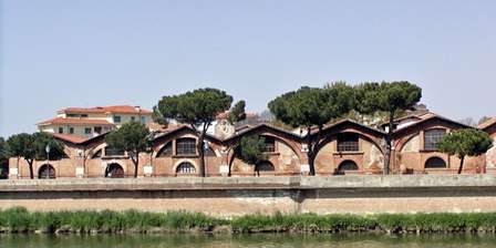 Medici-Arsenal