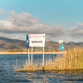 Viareggio: Wycieczka łodzią elektryczną po bagnach z degustacją wina