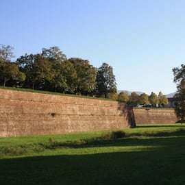 Private Tour of Lucca with a Qualified Guide: Walls & Old Town