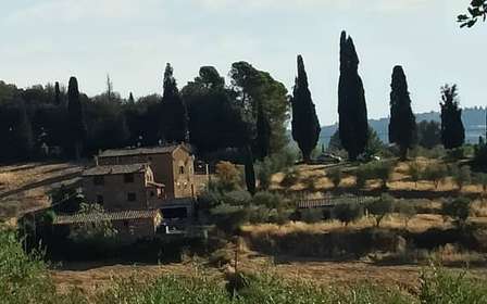 Excursão privada a Pisa e Florença saindo de Livorno