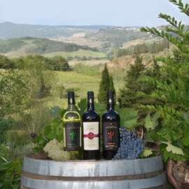 Peccioli: Wine tasting experience