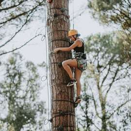Pineto Adventure Park a Marina di Pisa, percorsi sugli alberi