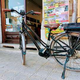Lucca: Full-Day E-Bike Rental