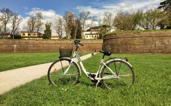 Lucca: City Bike One-Day Rental