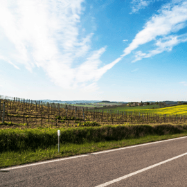 Peccioli Valdera 2 Hour E-Bike Guided Tour + Wine Tasting