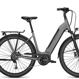 Lucca: Full-Day E-Bike Rental