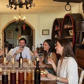 Winery Tour near Pisa with Three-Wine Tasting in Peccioli