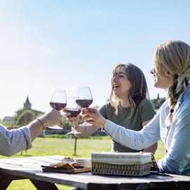 Projížďka na koni v pisánských kopcích: lekce a aperitiv
