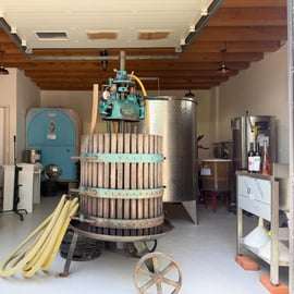 Montecarlo di Lucca: cata de vinos en la bodega con la viticultora