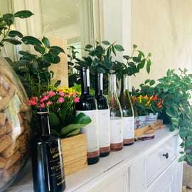 Lucca - Natuurlijke wijnproeverij bij Tenuta Mareli