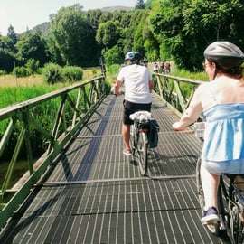 Lucca: Full-Day E-Bike Rental