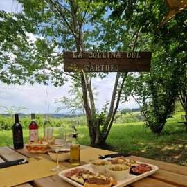 Poszukiwanie trufli w Livorno z psem lagotto i degustacją