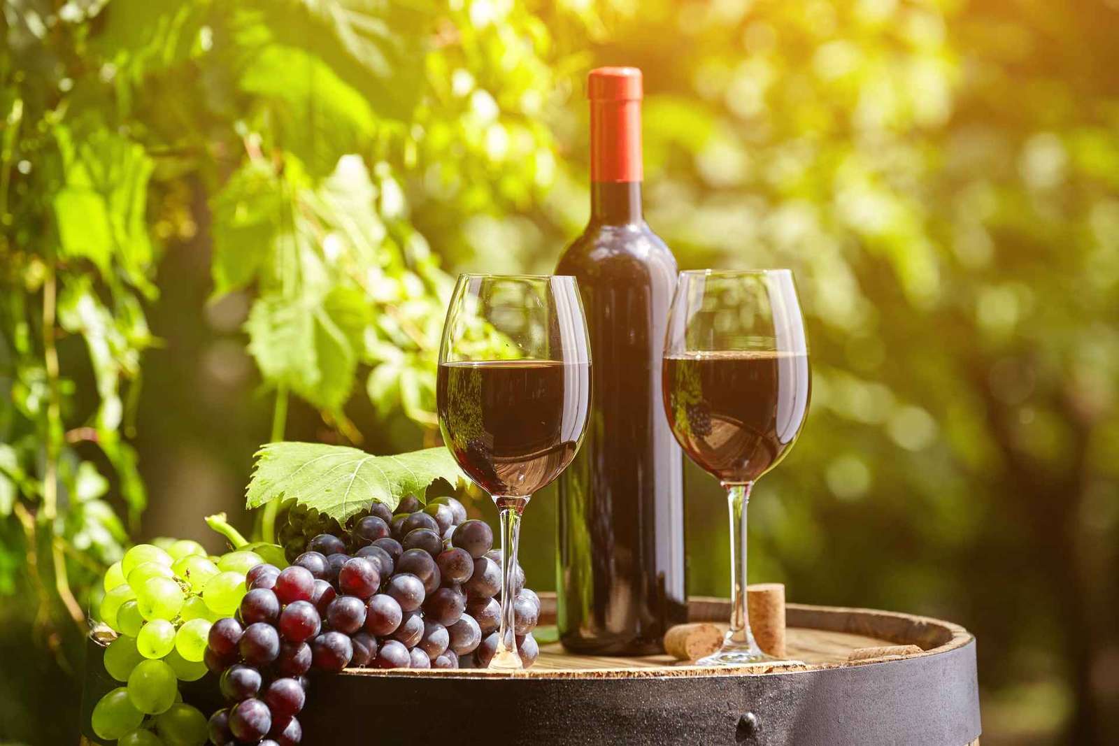 Chianti-Weinprobe ab Livorno mit Weingutbesuch in Kleingruppe