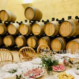 Visite de cave et dégustation de vins toscans à Terricciola