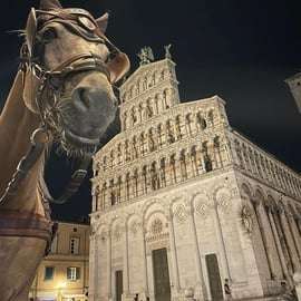 Passeio de carruagem em Lucca pelo centro e as muralhas