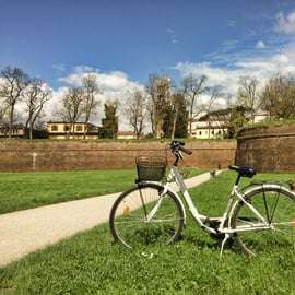 Lucca: Ein-Tages-Miete eines Stadtrades