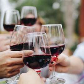 Vinprovning i Bolgheri med frukost och privat skåpbil