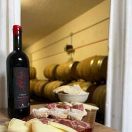 Pisa: Tour gastronomico e degustazione di vini con abbinamento di cibi locali