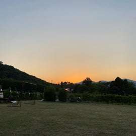 Tasting in a Vineyard with transfer from Lucca
