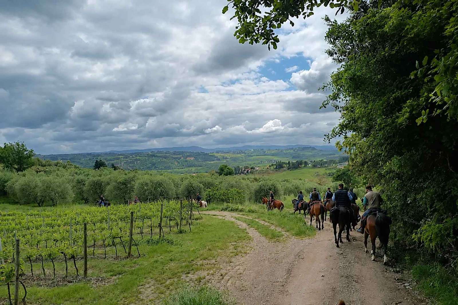 Horseback Riding in the Hills of Pisa with Aperitif