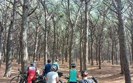 Livorno: Passeio Panorâmico de Bicicleta Elétrica a Pisa pelo Parque Natural