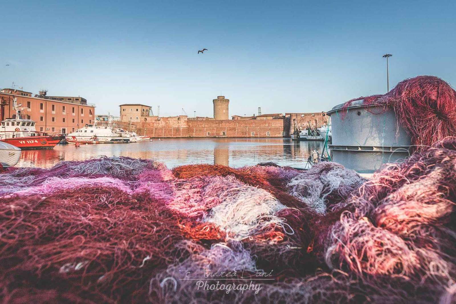 Vinprovning i Bolgheri med frukost och privat skåpbil