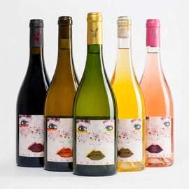 San Miniato: experiência de degustação de vinho e azeite orgânicos