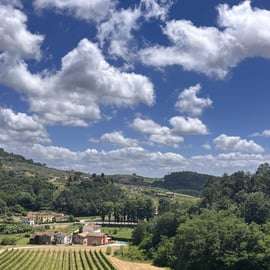 Tuscan Wine Tour by shuttle from Pisa